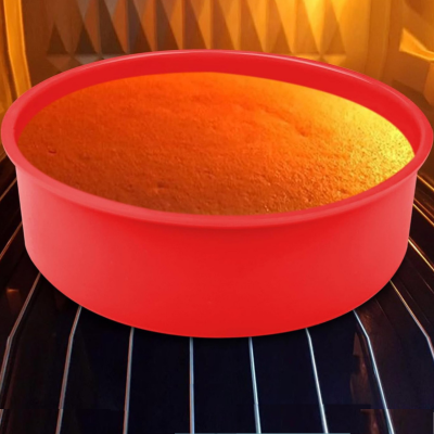 Moule-silicone-robuste