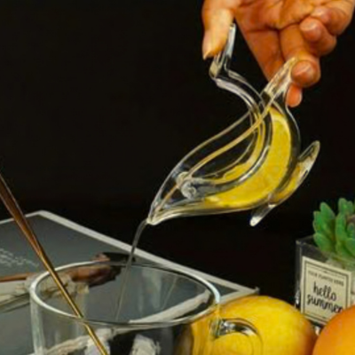 Presse-citron-manuel-fruits-de-mer-lavable